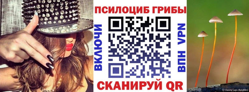 закладка  Белоозёрский  Галлюциногенные грибы MAGIC MUSHROOMS 